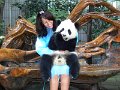 Pandas (003)
